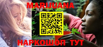 индика Пенза