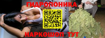 индика Пенза