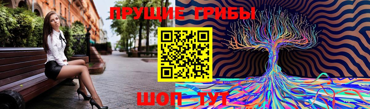Галлюциногенные грибы мицелий Дальнегорск